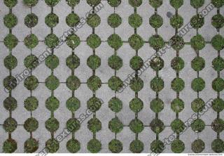 Photo Texture of Tiles 0006